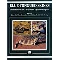 Blue Tongued Skinks