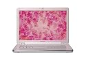 Sony VAIO VGN-CR405E/P 14.1-inch Laptop (2.1 GHz Intel Core 2 Duo T8100 Processor, 2 GB RAM, 200 GB Hard Drive, Vista Premium) Pink