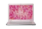 Sony VAIO VGN-CR405E/P 14.1-inch Laptop (2.1 GHz Intel Core 2 Duo T8100 Processor, 2 GB RAM, 200 GB Hard Drive, Vista Premium) Pink
