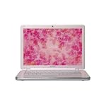 Sony VAIO VGN-CR405E/P 14.1