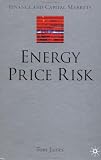 Review Palgrave Macmillan  / Energy Price Risk: Trading and Price Risk Management