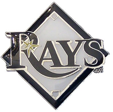 Tampa Bay Rays Logo Pin