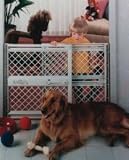 Pet Gate - Plastic