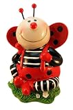 Ladybug Coin Piggy Bank