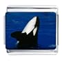 Black White Orca Whale Italian Charms