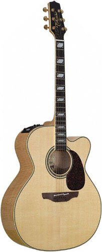 Childrens Toyshop  Musical Instruments : Takamine TF250SMC Jumbo Cutaway Acoustic-Electric Guitar, Gloss Natural
