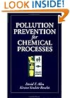 Pollution Prevention for Chemical Processes