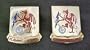 2nd Chemical Battalion Distinctive Unit Insignia - 1 Pair (FLAMMIS VINCIMUS)