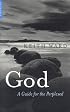God: A Guide For the Perplexed