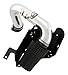 AEM 21-8211DP Polished Brute Force Intake System