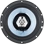 Boss Audio Riot Gt652 6.5-Inch 2-Way Speaker