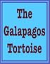 The Galapagos Tortoise (Dillon Remarkable Animal Series)