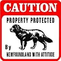 CAUTION: NEWFOUNDLAND protection dog sign