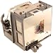 SHARP ANXR10LP OEM PROJECTOR LAMP EQUIVALENT WITH HOUSING