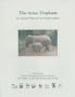 Asian Elephant: An Action Plan For Its Conservation