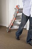 Little Giant Type 1A Ladder System