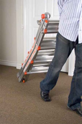 Little Giant Type 1A Ladder System