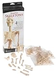 Learning Resources Simply Skeletons