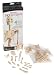 Toys : Learning Resources Simply Skeletons