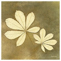 Eurographics ALB1103 Alexandra Bex, Horse Chestnut Leaf 18 x 18 cm, Hochwertiger Kunstdruc Preisvergleich