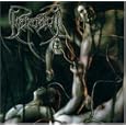 Recounts Of Disembodiment
