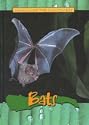 Bats (Animals of the Rainforest)