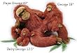 Plush Orangutan (George from Purr-Fection), 18 Inches