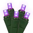 Set of 50 Commercial Grade Purple LED Wide Angle Christmas Lights - Green Wire