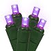 Set of 50 Commercial Grade Purple LED Wide Angle Christmas Lights - Green Wire