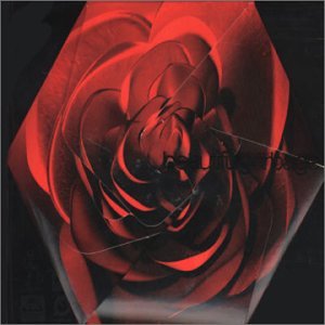 Garbage - Beautiful Garbage - Edition limitée Digipack - Zortam Music