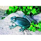 Crazy Frog