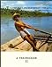 Search : Ecuador, un mundo verde junto al sol: Cronica de viajes (Spanish Edition)