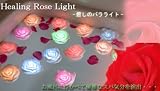 癒しバラライト（2個組）