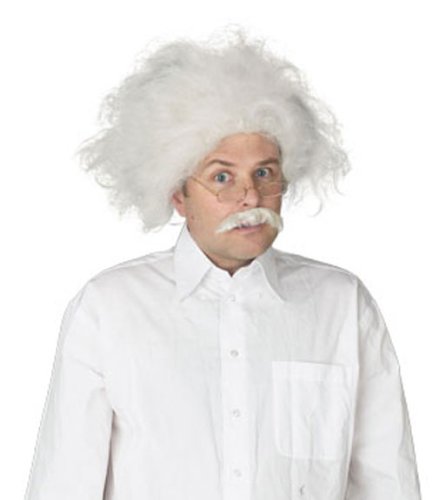 Einstein Wig Adult