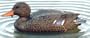 A & M Waterfowl Mallard Flutter Duck - Hen
