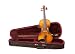 The Instrument Store - Student Violin Outfit - 1/2 Size with Ebony Fittings, Fitted Case and Bow