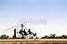 Wallmonkeys Peel and Stick Wall Decals - Gyrocopter Silhouette - 24