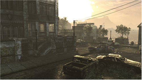 large image