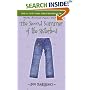 The Second Summer of the Sisterhood (Sisterhood of Traveling Pants, Book 2)