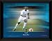 Spurs Darren Bent 8x6 Framed Motion Desktop Photograph, Tottenham Hotspur FC.