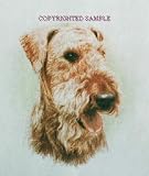 Airedale - Portrait by Cindy Farmer