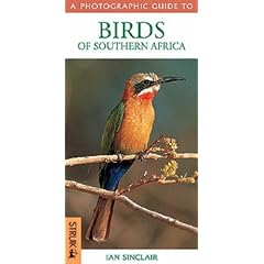 Photographic Guide Birds of Southern Africa