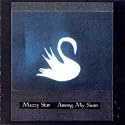 Among My Swan