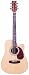JB Player Acoustic-Electric Guitar