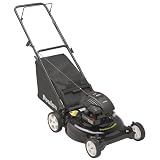 Poulan 21-Inch 4.5 HP Rear Bag Push Mower (Non-CARB Compliant) #PO500N21RH by Poulan