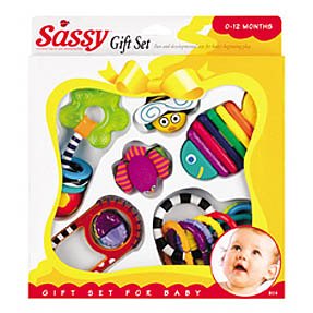Childrens Toyshop   : Sassy Newborn Gift Set