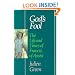 God's Fool: The Life of Francis of Assisi (Perennial library)