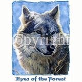 Eyes/Forest-Wolf Youth Sweatshirt