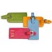 Leather Luggage Tags