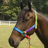 Deluxe Rainbow Nylon Halter Large